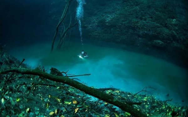 Сенот Анхелита в Мексике