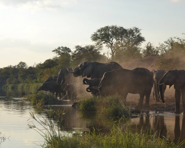 Парк National Kruger Park
