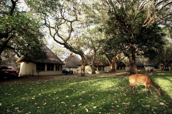 Национальный парк Крюгер (Kruger National Park)