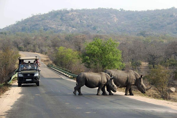 Национальный парк Крюгер (Kruger National Park)