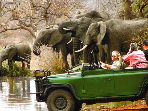 Национальный парк Крюгер (Kruger National Park)