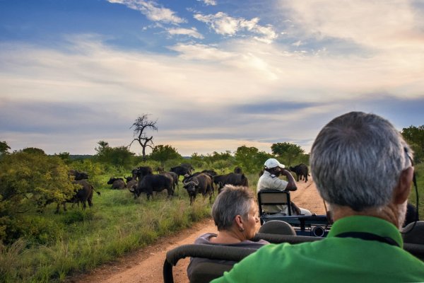 Kruger Park сафари