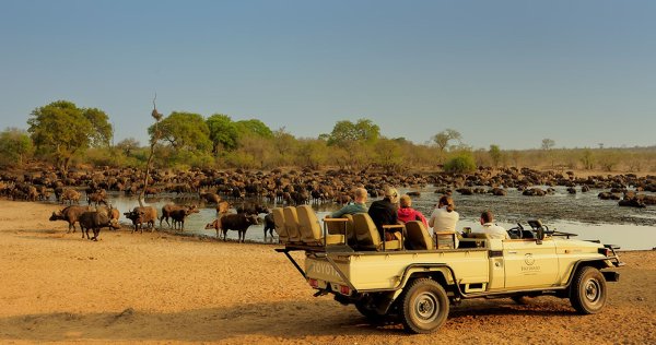 Kruger Park сафари