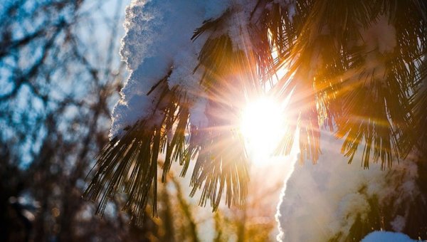 Зима солнце