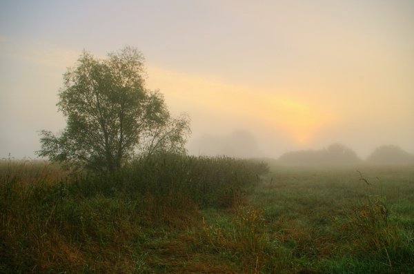 Пасмурное летнее утро