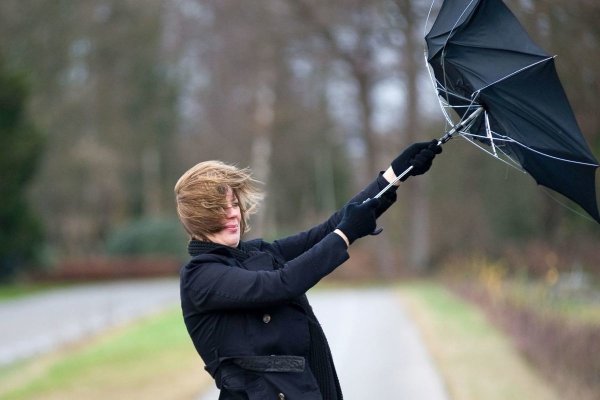 Штормовое предупреждение ветер