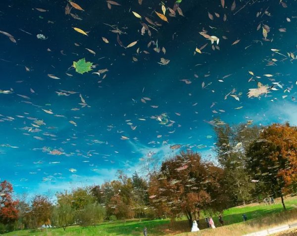 Ветренное лето