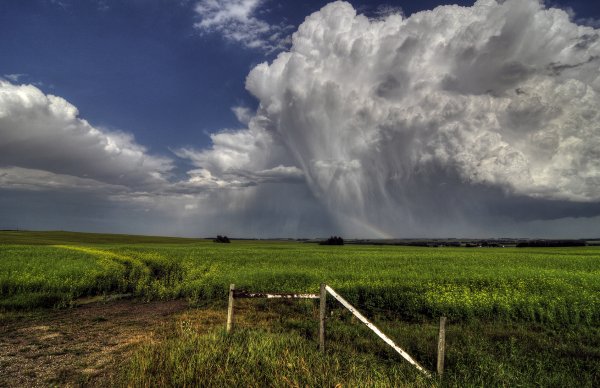 Утренняя гроза