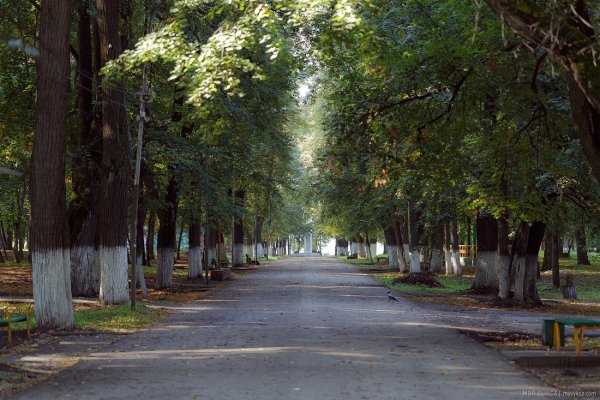 Выкса городской парк