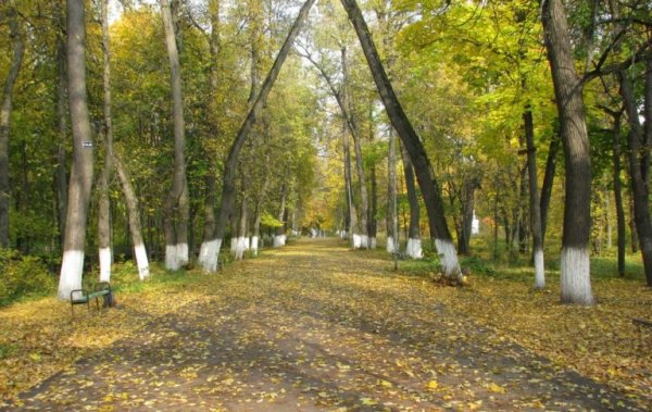Выкса парк культуры и отдыха