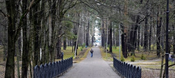 Выкса парк