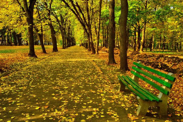 Парк Горького Москва осенью
