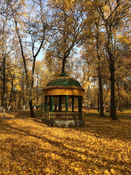 Выкса городской парк