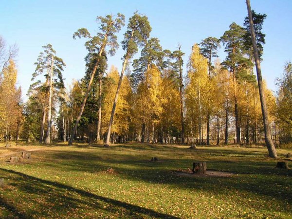 Выкса природа парк