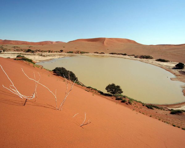 Пустыня Калахари ЮАР