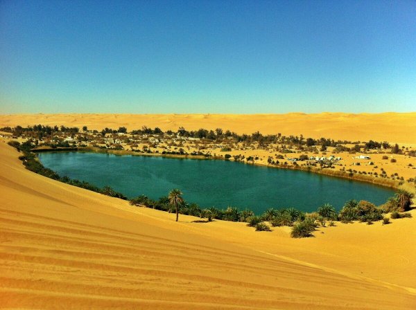 Оазис Сива пустыня