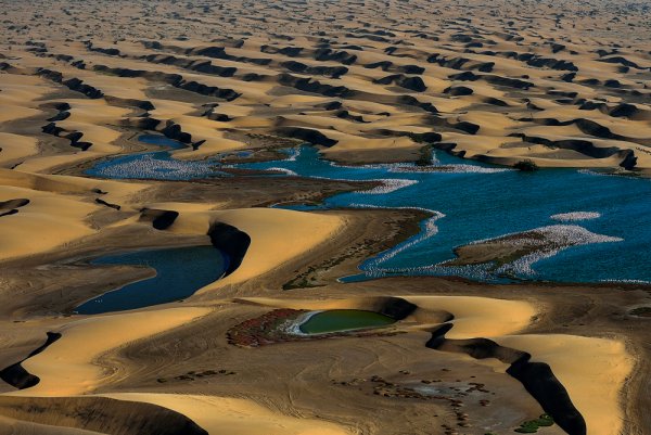 Оазис в пустыне Намиб