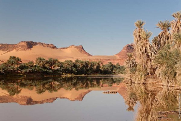 Оазисы в пустыне Африки