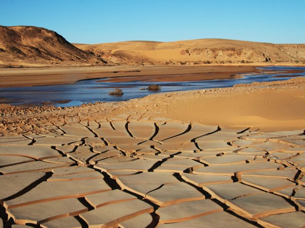 Нил обмелел