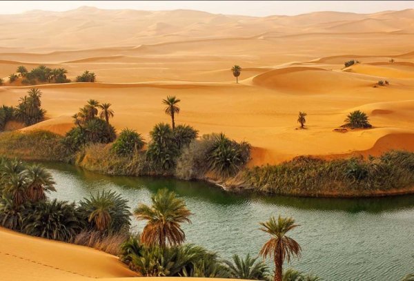 Оазис Убари в Ливии