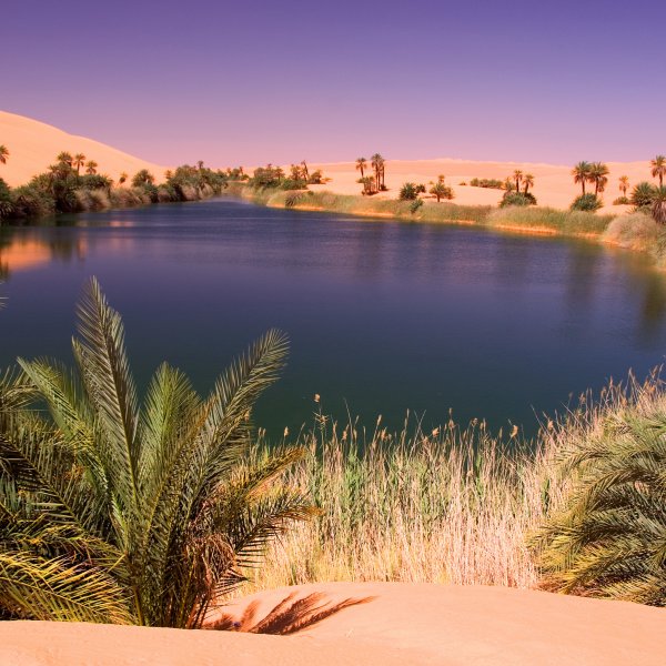 Ливия Оазис