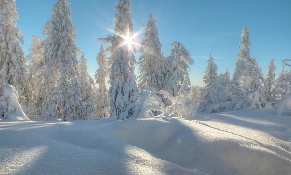 Красивая морозная зима