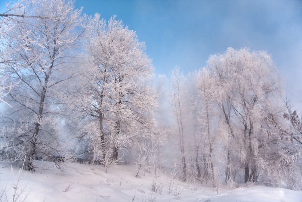 Мороз трескучий