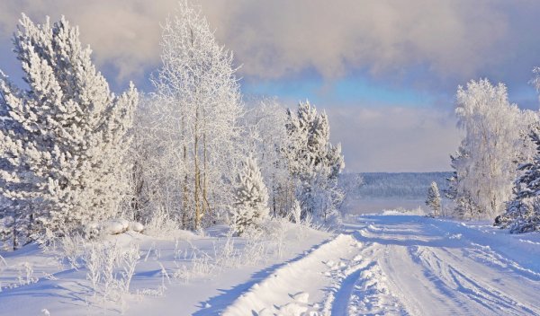 Январские Морозы