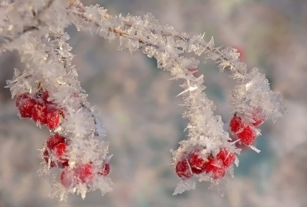 Легкий морозец