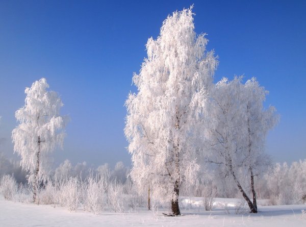 Морозный зимний день