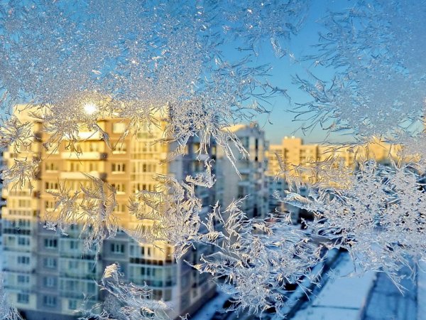 Солнечный зимний день в городе