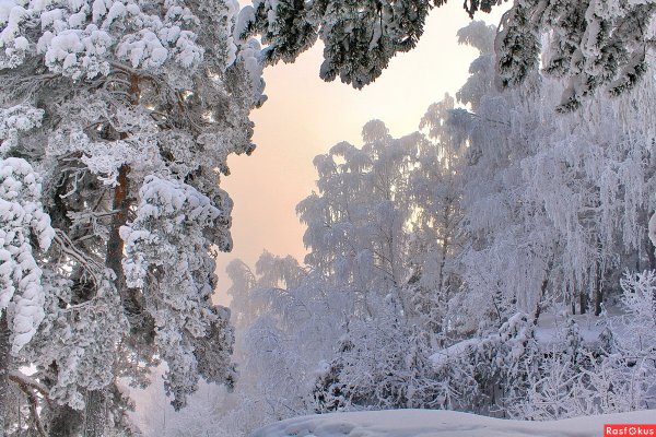 Январские Морозы