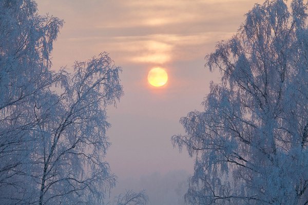 Холодный морозный день