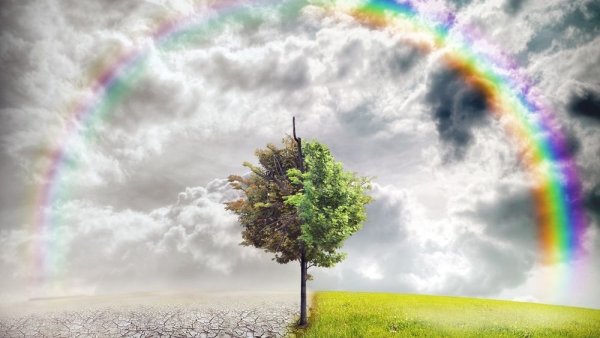 Экология пейзаж