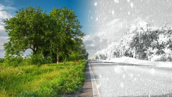 Лето и зима на одной картинке