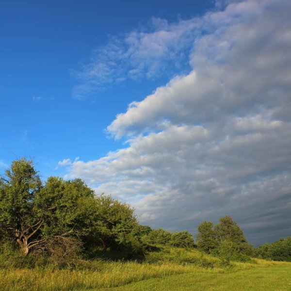 Реки Черемисиновского района