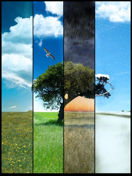 Четыре времени года