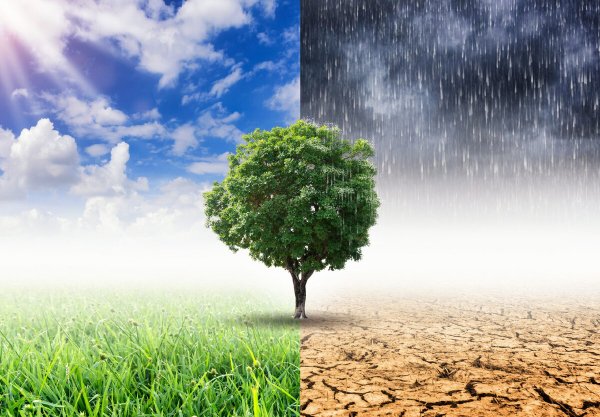 Изменение климата