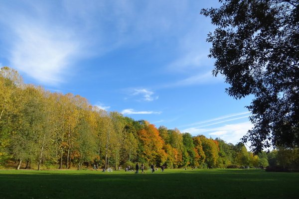 Удельный парк пруд