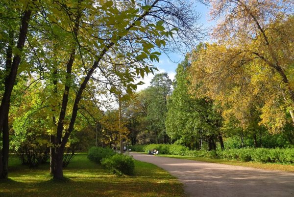 Удельный парк в Санкт-Петербурге