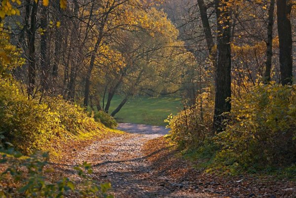Удельный парк в Санкт-Петербурге