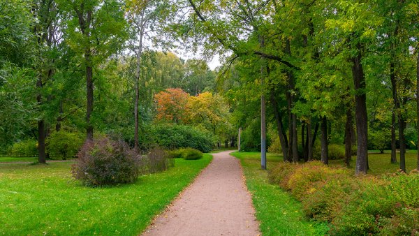 Удельный парк в Санкт-Петербурге