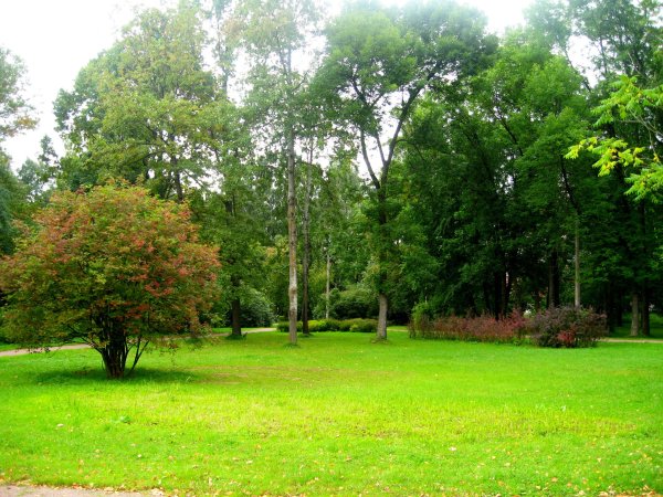 Удельный парк в Санкт-Петербурге