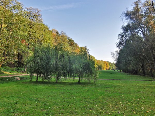 Удельный парк в Санкт-Петербурге