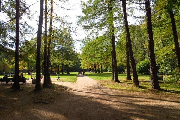 Удельный парк пруд