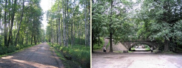 Парк Челюскинцев удельный парк