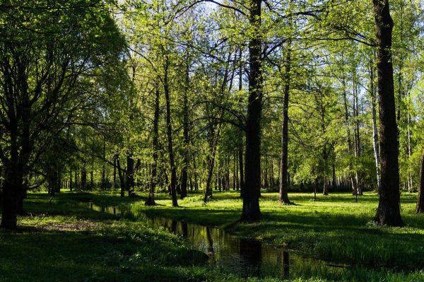 Удельный парк