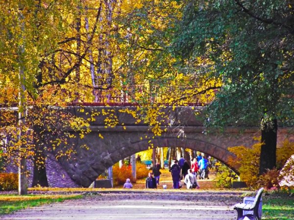 Удельный парк осенью СПБ