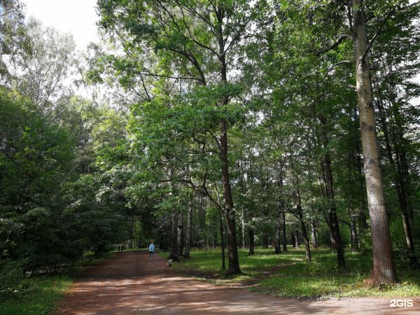 Удельный парк в Санкт-Петербурге