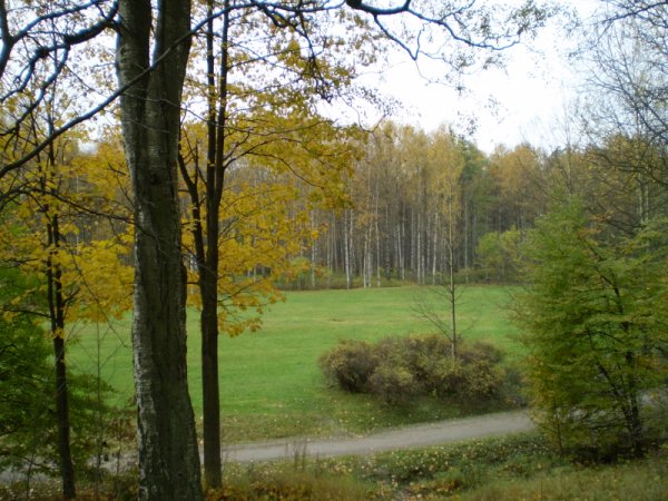 Пруд в Удельном парке